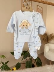 Mavi kuzulu 5’li set