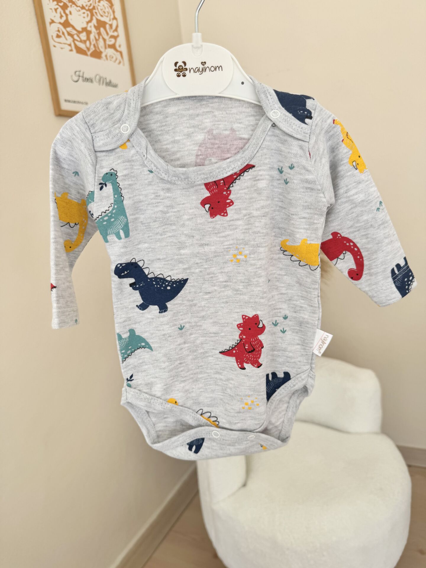 Gri dinazorlu çıtçıtlı badi