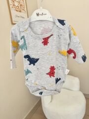 Gri dinazorlu çıtçıtlı badi