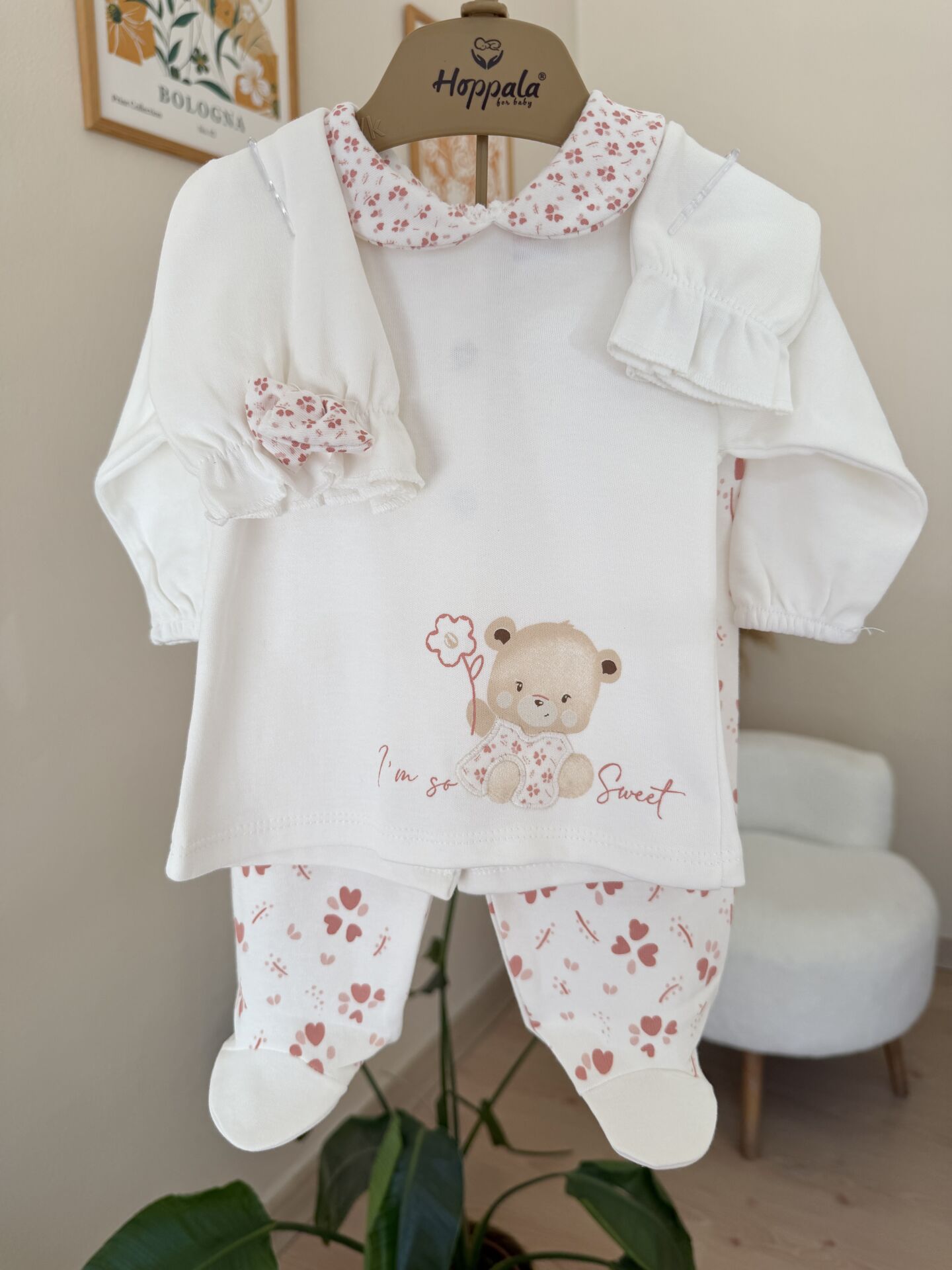 Sevimli ayıcık 5’li set