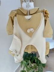 Cute bear 5’li set