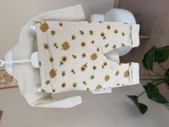 Arılı badili takım