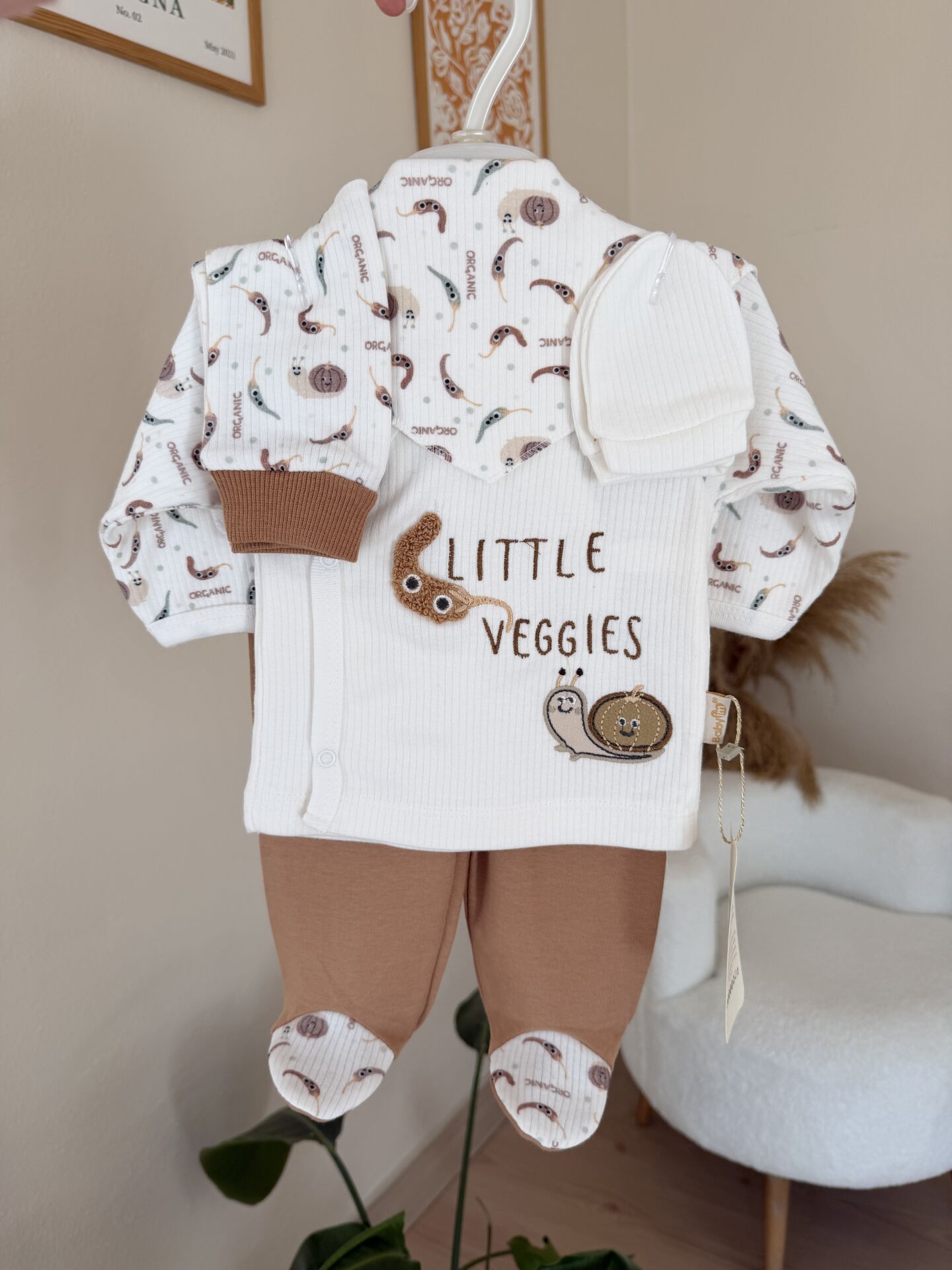 Kahve salyangoz 5’li set