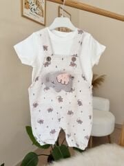 Sevimli fil badili slopet