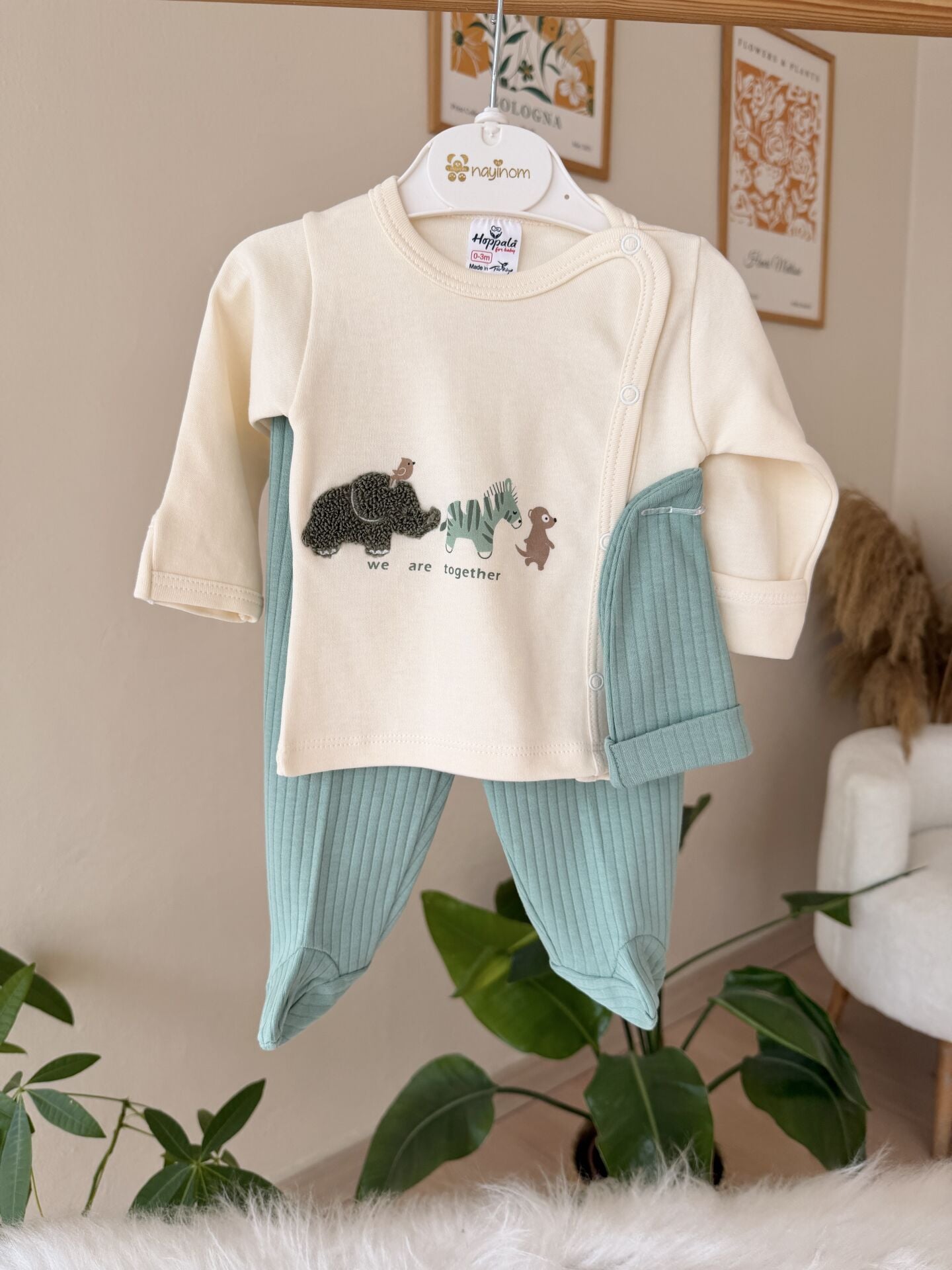 Yeşil zoo 3’lü pratik takım