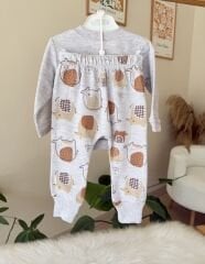 Gri filli 2’li takım