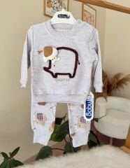 Gri filli 2’li takım