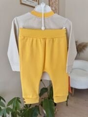 Sarı ayıcık 2’li takım