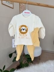 Sarı aslan 3’lü pratik takım