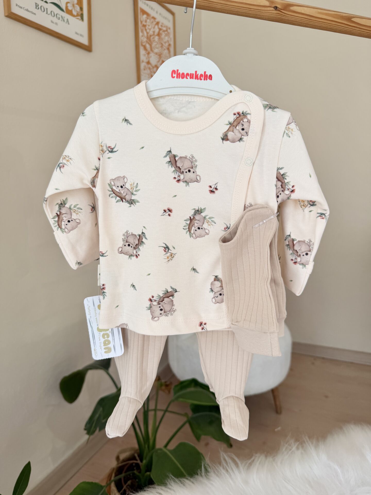 Kahve koala 3’lü pratik takım