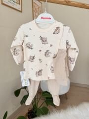 Kahve koala 3’lü pratik takım