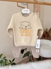 Kahve cute 3 ip 2’li takım